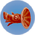 Cured Noot Fish