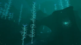 BloodKelpZone 04.jpg (475 КБ) Обзор