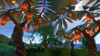 A great diversity of flora on the Floating Island