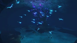 CoveTree.jpg (23 КБ)