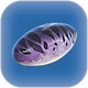 Crabsnake Egg