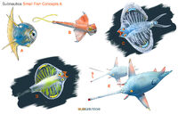 Both creatures C and D seem to be earlier designs for the Discus Fish.