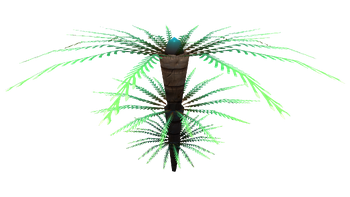 Fern Palm Flora