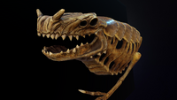 SeaDragonSkeletonSketchfab