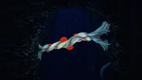 A horizontal Bloodroot