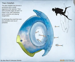 Дырохвост-титан — автор Alex Ries