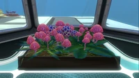 An Indoor Growbed with Pink Cap and Speckled Rattler inside