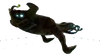 Sea Emperor backgroundless