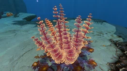 Внешний вид в игре