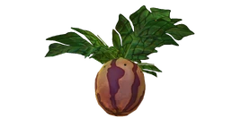 Marblemelon Plant Flora