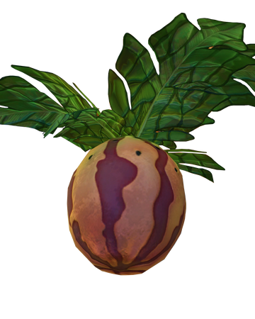 Marblemelon Plant Subnautica Wiki Fandom