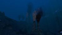 Thermal Vents in the Grand Reef