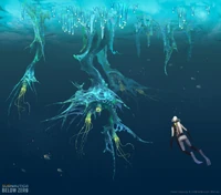 Ice plants.jpg (263 KB) Frost Anemone Under the Ice Shelf - by Pavel Goloviy