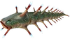 Shocker Fauna