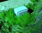 Fragment.png