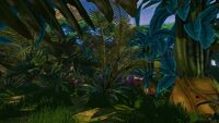 An extremely dense jungle on the Floating Island