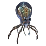 Crabsquid Fauna.png