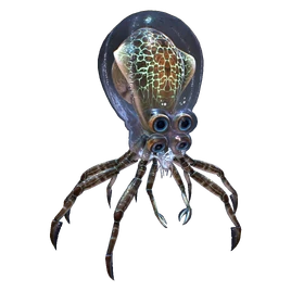 Crabsquid Fauna