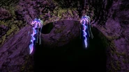 DroopingStingersNight.jpg (494 KB) Biolumineszenz