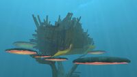 Mushroom Forest Large Wreck 1