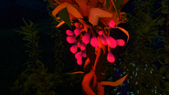 Arctic creepvine night.png (3,88 МБ) Гроздь семян арктической водоросли ночью.