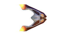 Magmarang Fauna