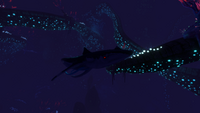 A Squidshark in the biome