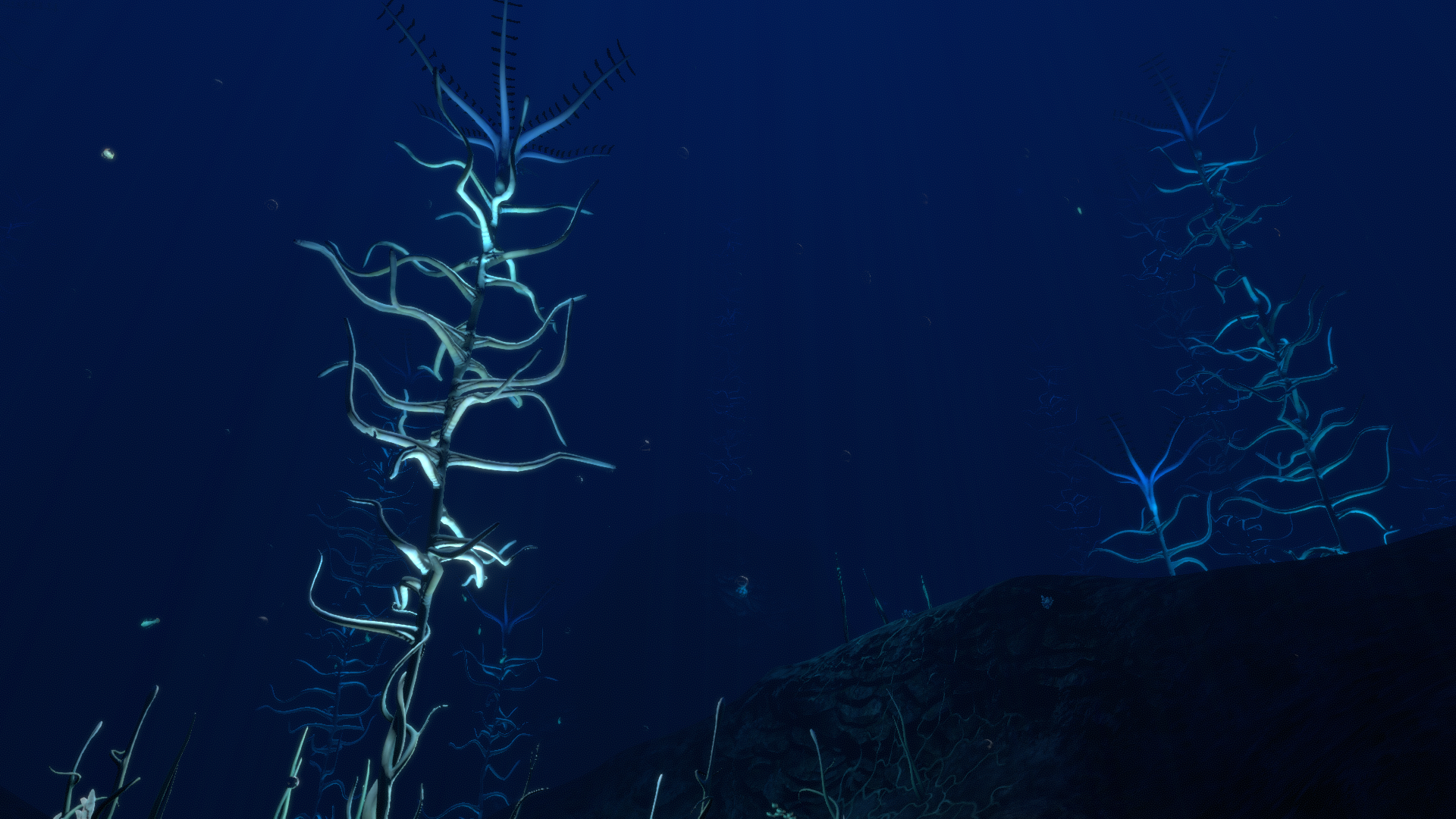 Blood Kelp Zone Subnautica Wiki Fandom