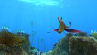 A Garryfish in the Safe Shallows