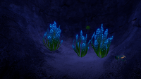 Some Spotted Dockleaves in the caves