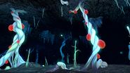 Blood Kelp Caves 005