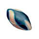 Pinnacarid Egg Icon