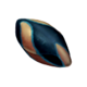 Pinnacarid Egg Icon