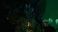 TapePlantCrevice.jpg (2.76 MB) In the Lilypads Crevice