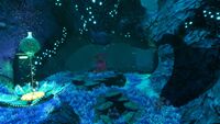 The cave leading to Sanctuary Zero