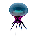 Eye Jelly Icon