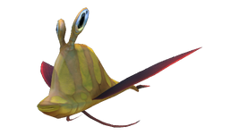 Garryfish Fauna