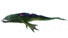 Лавовая ящерица