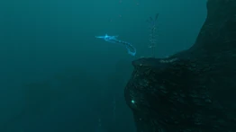 Лева СЗКВ 00003.jpg (1,04 МБ) Призрачный левиафан в северной зоне кровавых водорослей