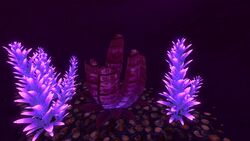 Red Roll Plant Jellyshroom.jpg