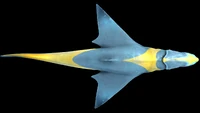 Brute Shark 3.jpg (131 KB) Dorsal view