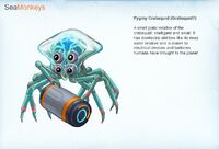 "Pygmy Crabsquid" - by Alex Ries (Unused)