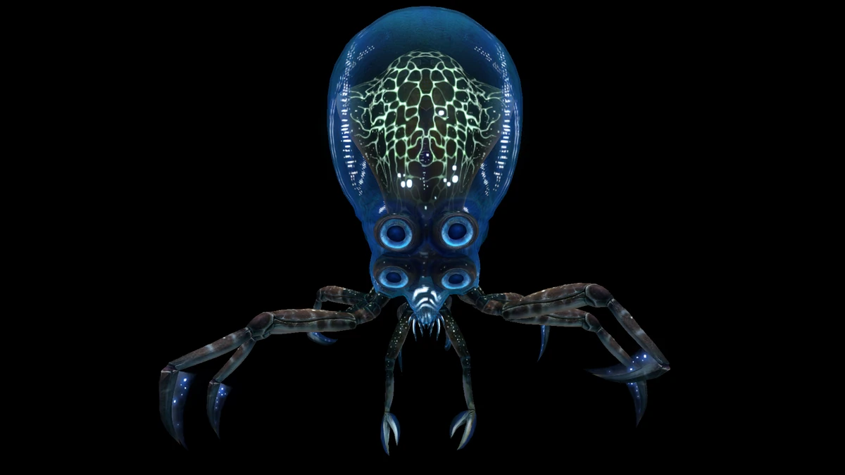 Krabbenkalmar Subnautica Wiki Fandom krabbenkalmar-subnautica-wiki-fandom