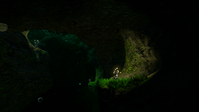 KelpGallery7.png