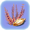 Redwort Seed.png