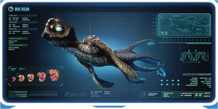 Детёныш морского императора