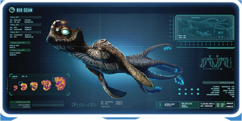 Детёныш морского императора КПК