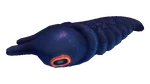 Lava Larva Fauna.png