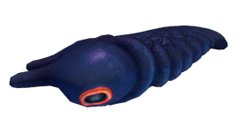 Lava Larva Fauna