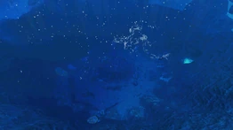 Кратер